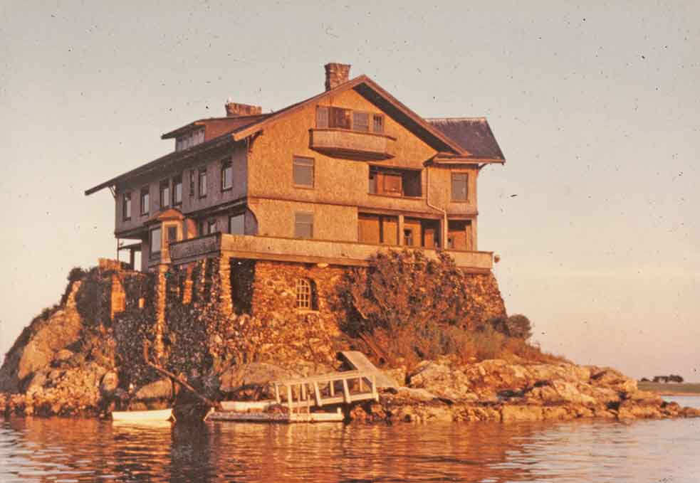 LDoD_clingstone_image