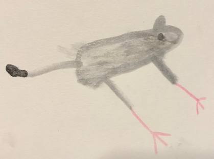 App_A_rat_lowres